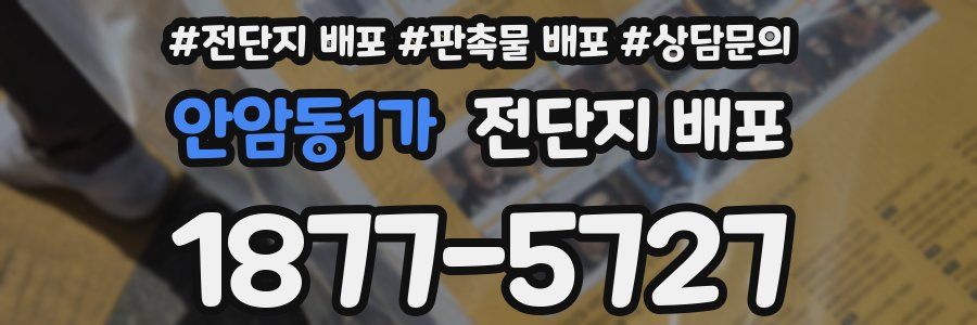 안암동1가 전단지 배포