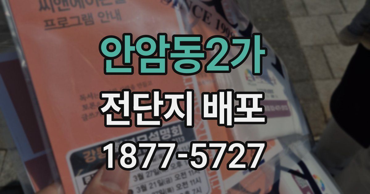안암동2가 전단지 배포