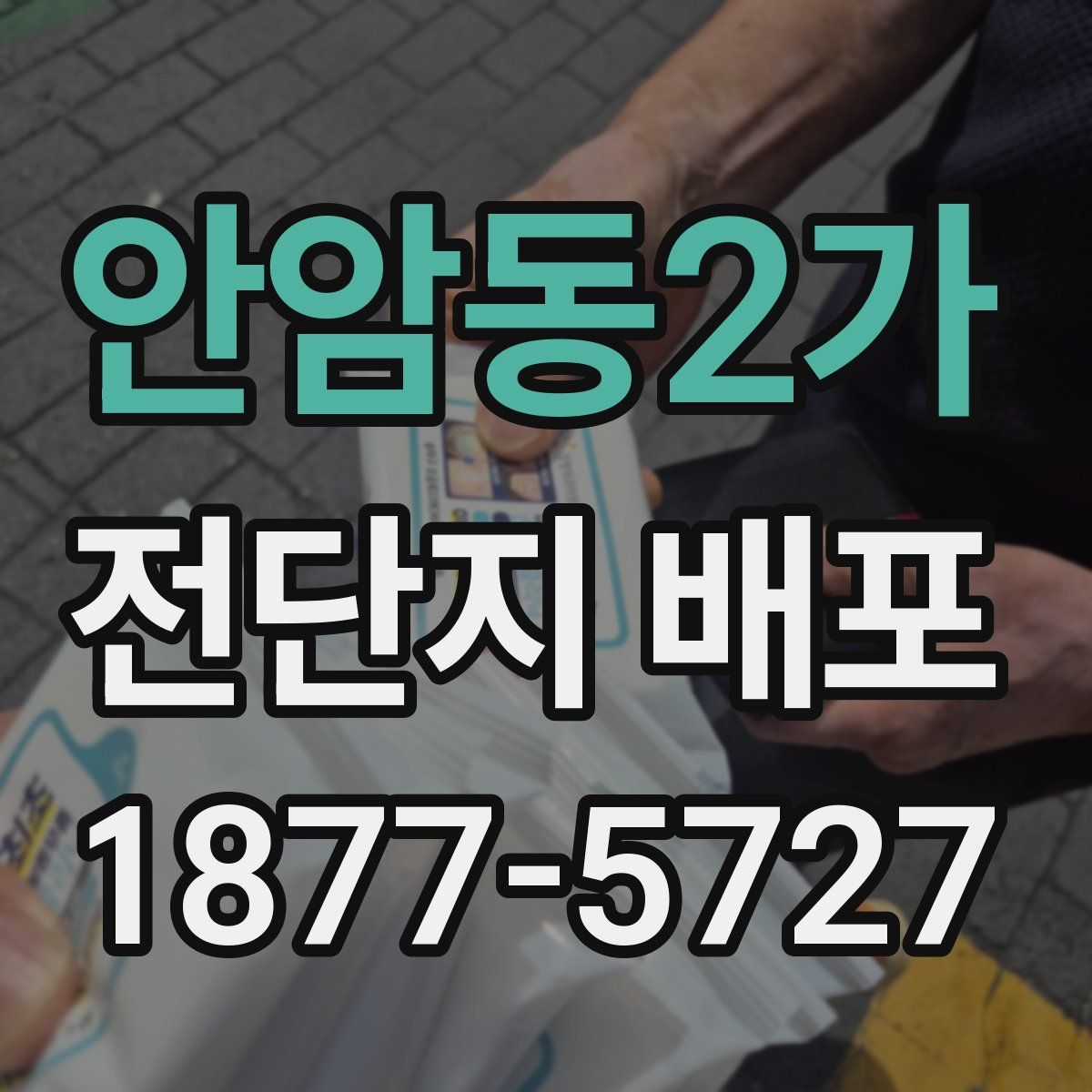 안암동2가 전단지 배포