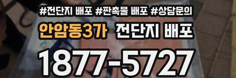 안암동3가 전단지 배포