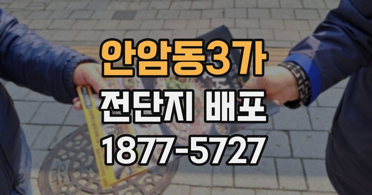 안암동3가 전단지 배포