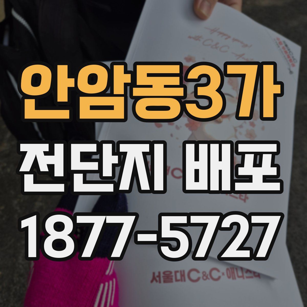 안암동3가 전단지 배포