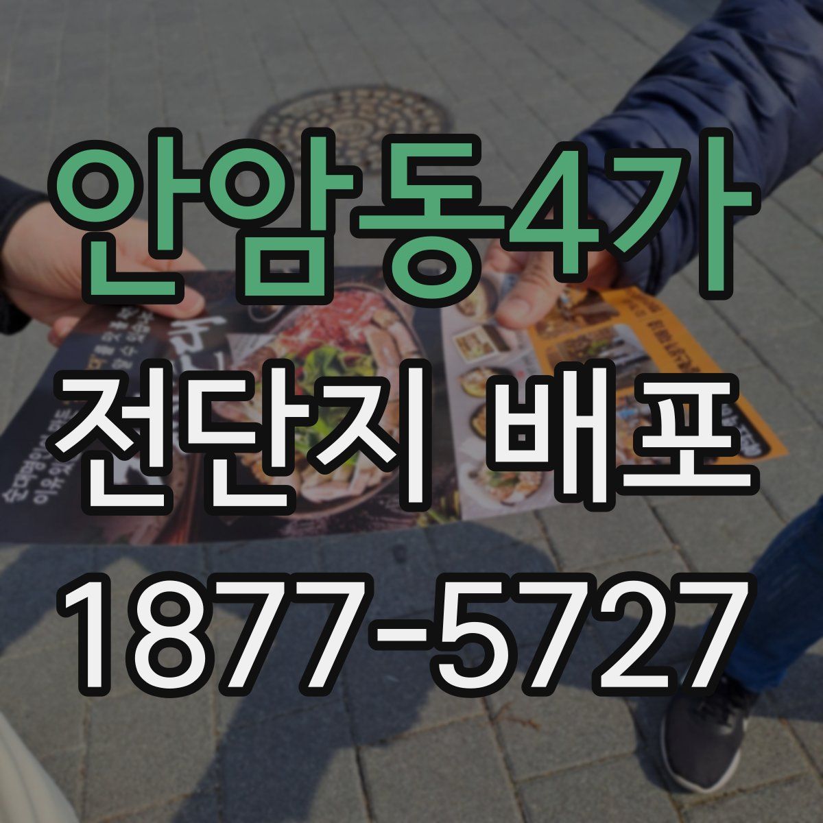 안암동4가 전단지 배포