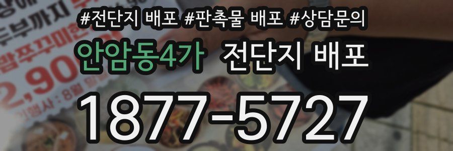 안암동4가 전단지 배포