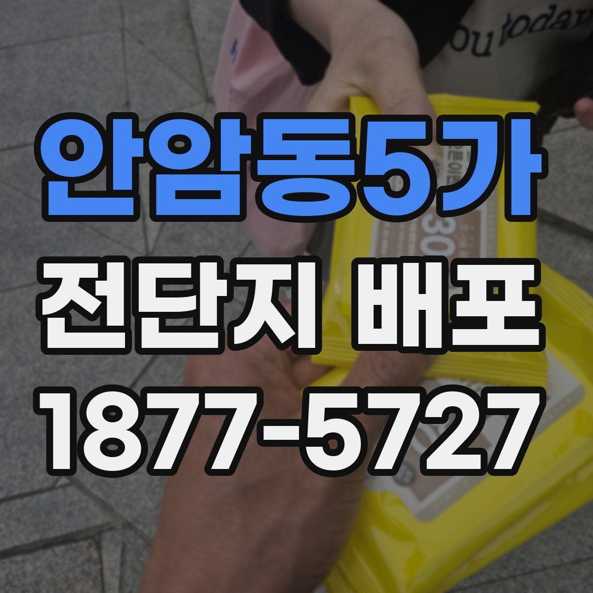 안암동5가 전단지 배포