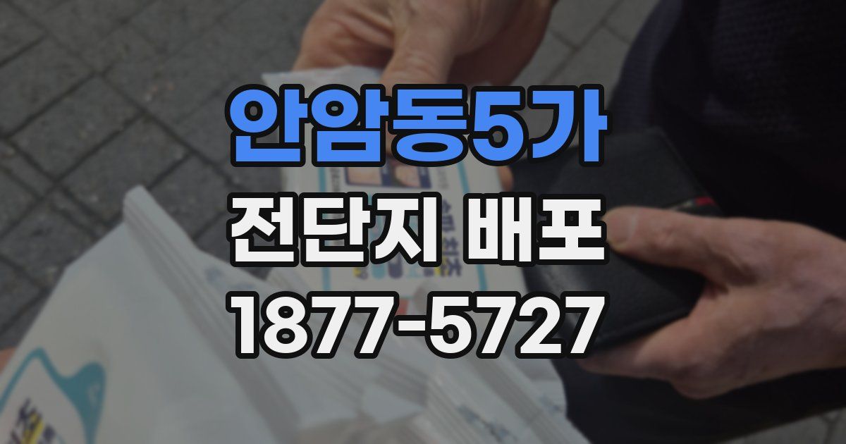 안암동5가 전단지 배포