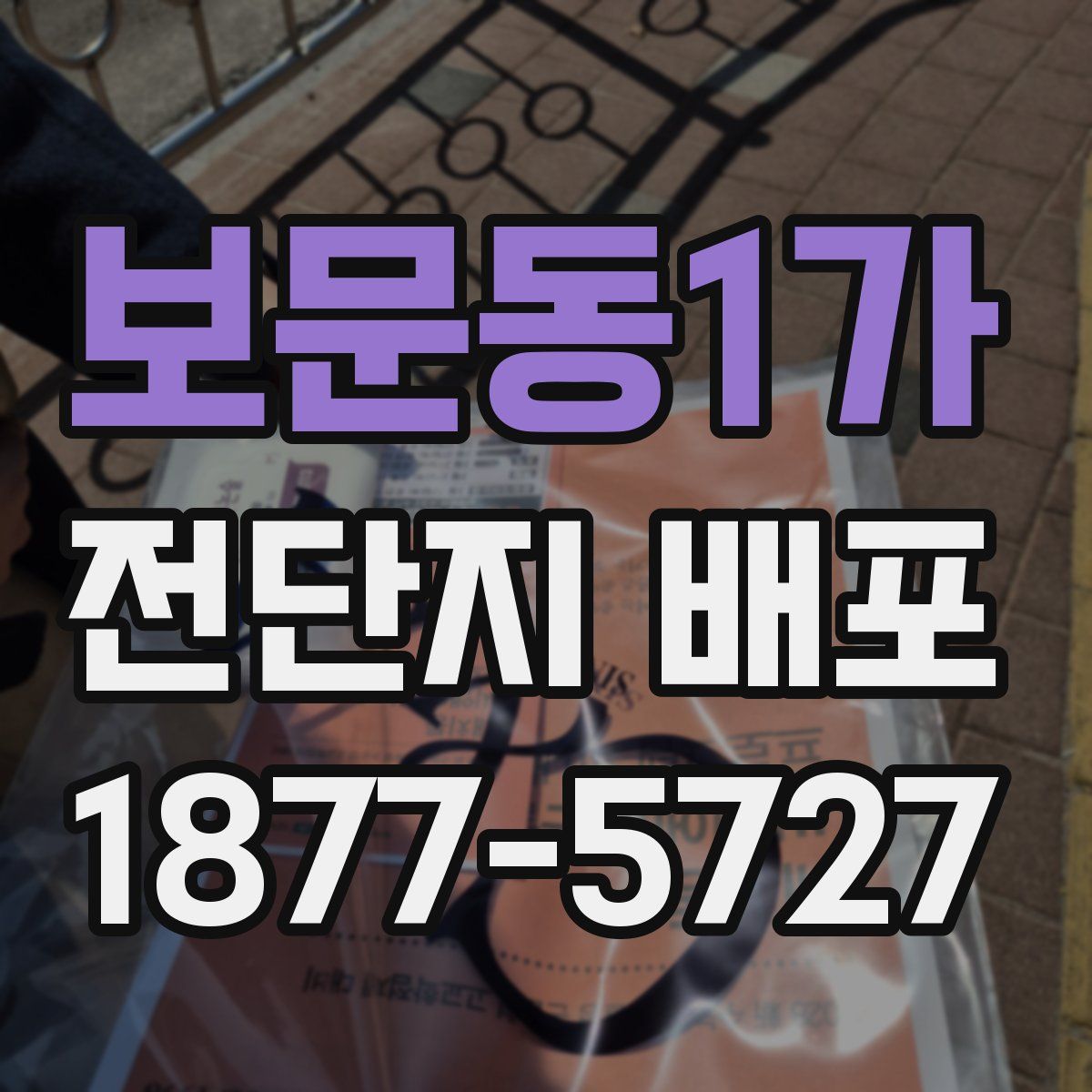 보문동1가 전단지 배포
