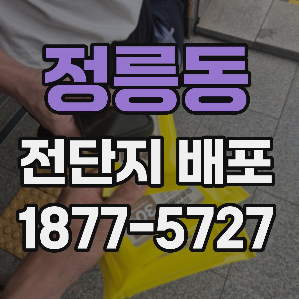 정릉동 전단지 배포