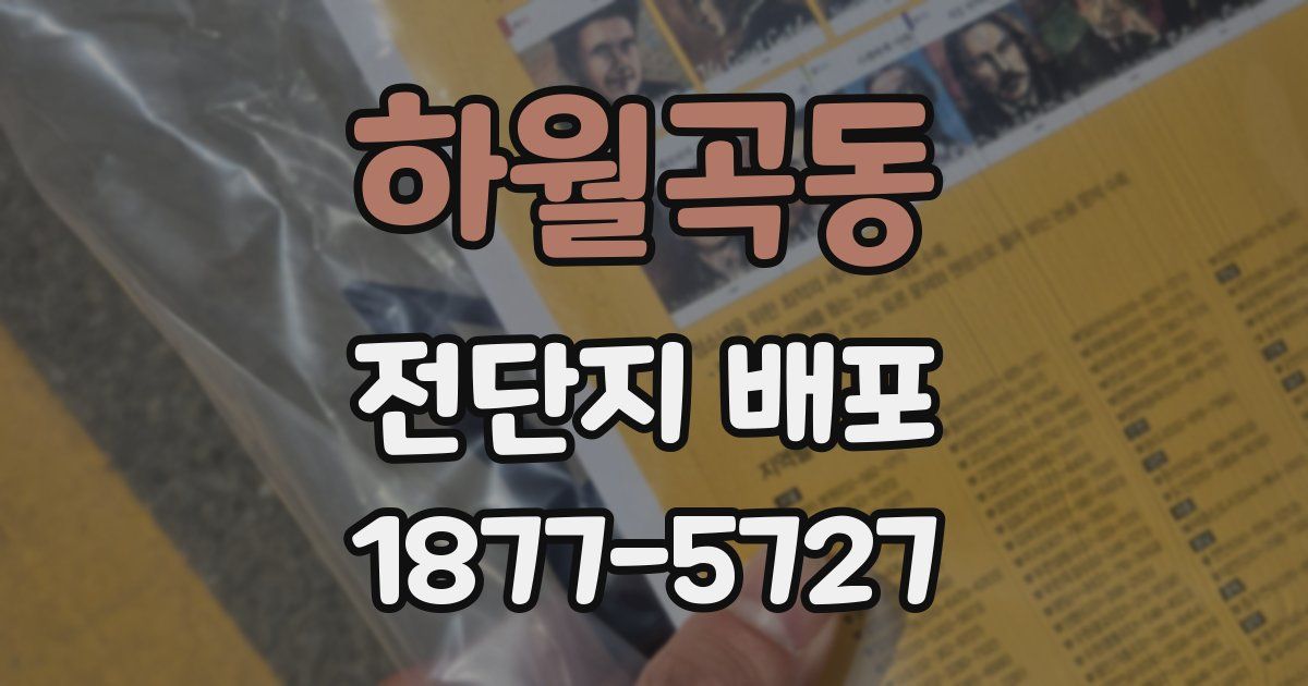 하월곡동 전단지 배포