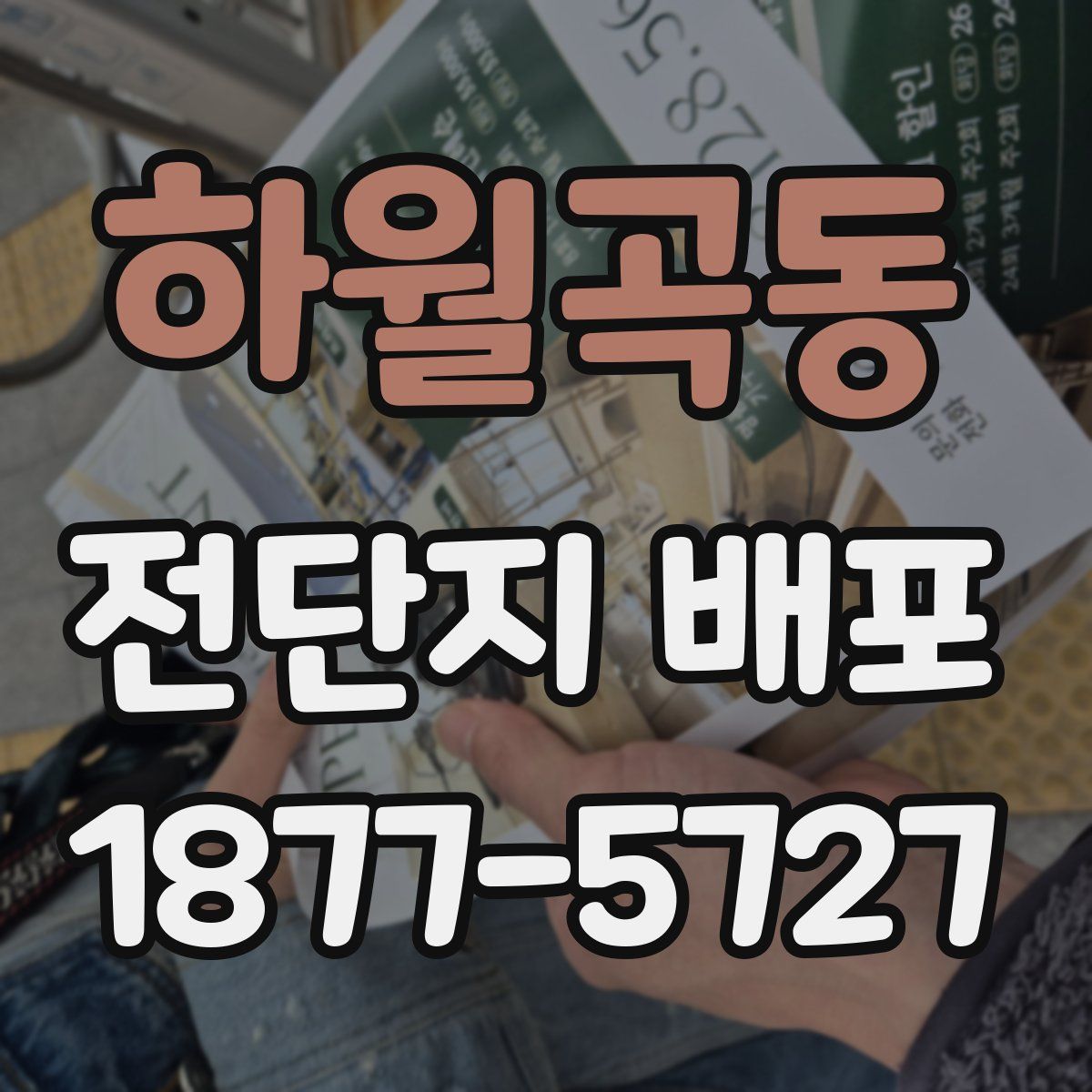 하월곡동 전단지 배포