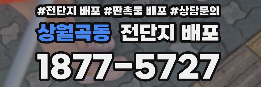 상월곡동 전단지 배포