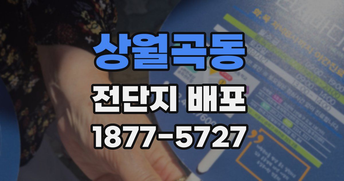 상월곡동 전단지 배포