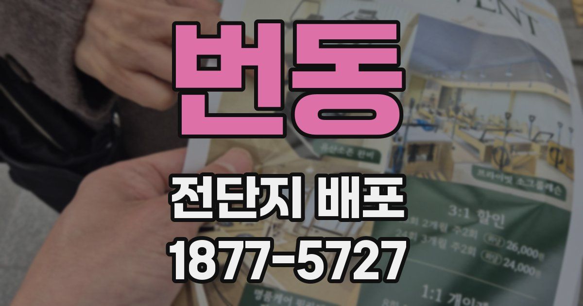 번동 전단지 배포
