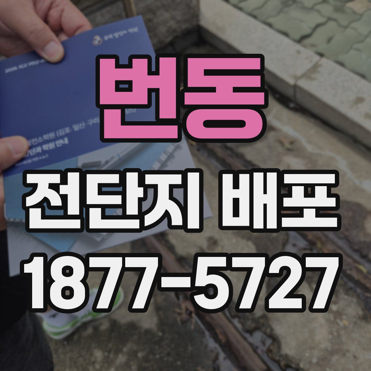 번동 전단지 배포