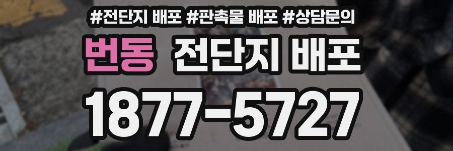 번동 전단지 배포