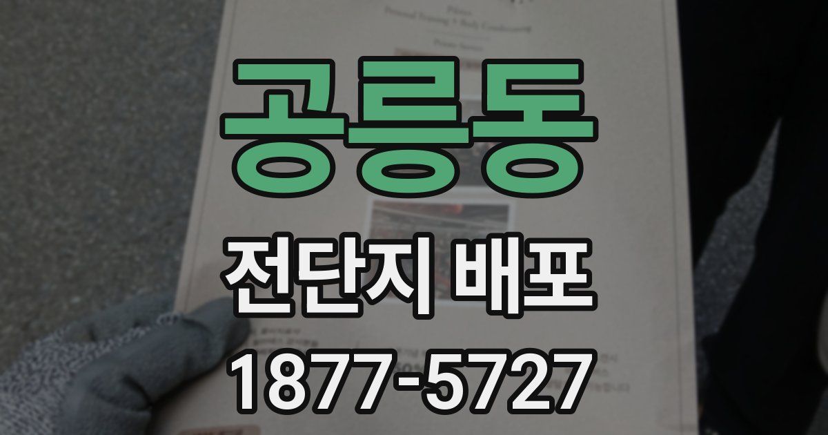 공릉동 전단지 배포