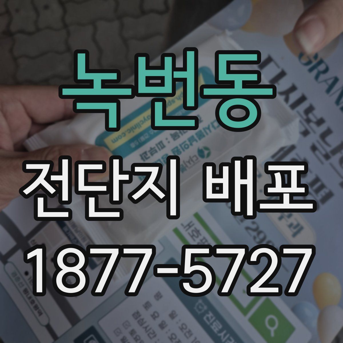 녹번동 전단지 배포