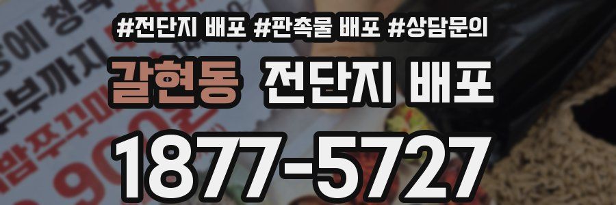갈현동 전단지 배포