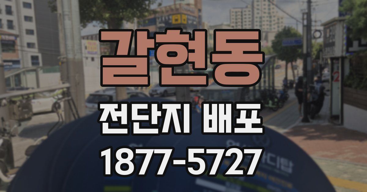 갈현동 전단지 배포