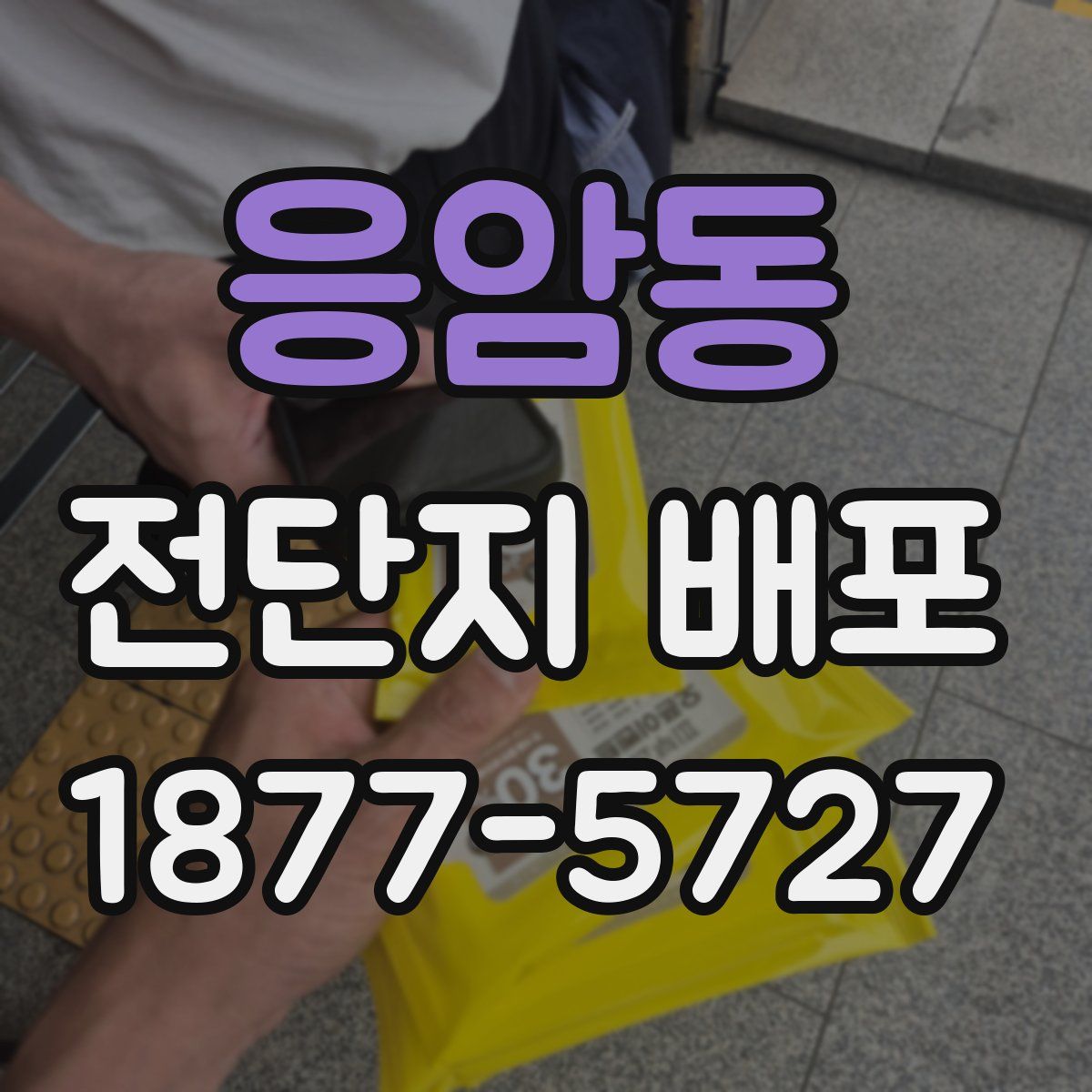 응암동 전단지 배포