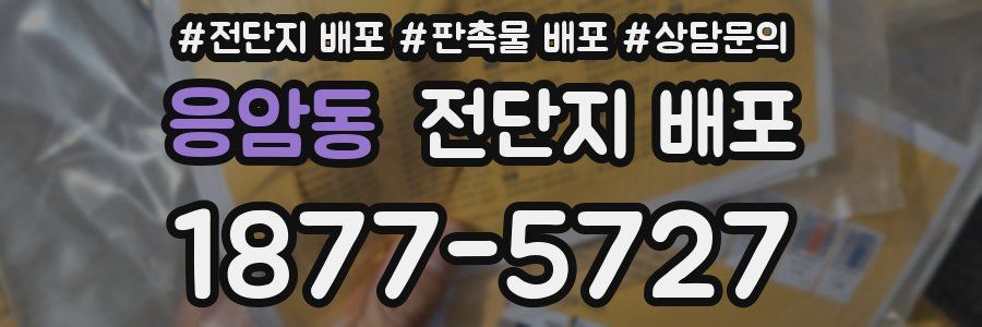 응암동 전단지 배포