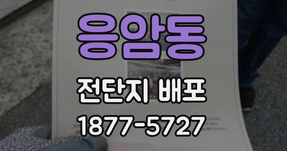 응암동 전단지 배포