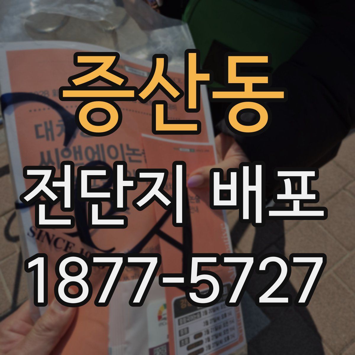 증산동 전단지 배포