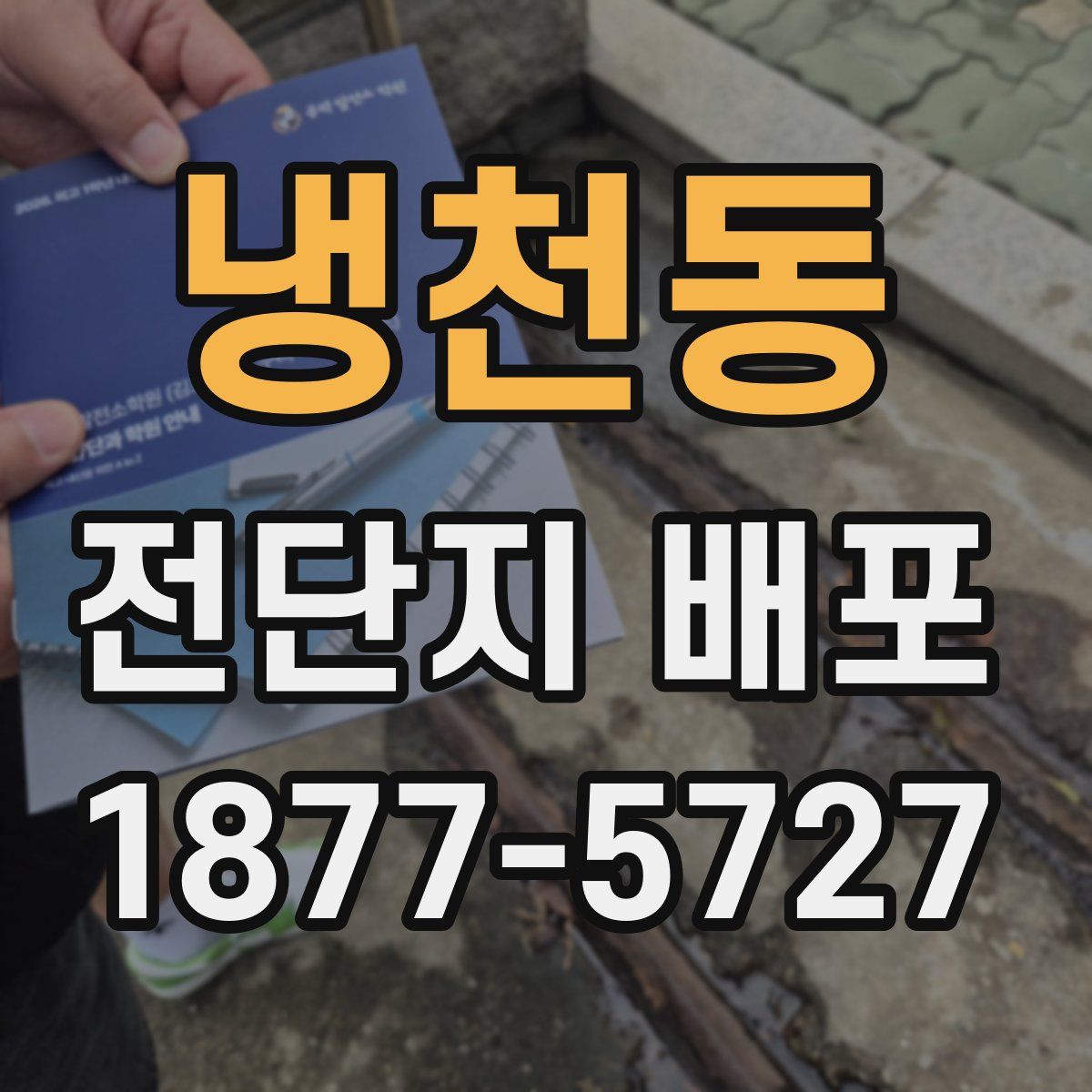 냉천동 전단지 배포