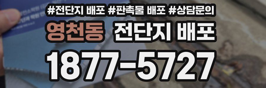 영천동 전단지 배포