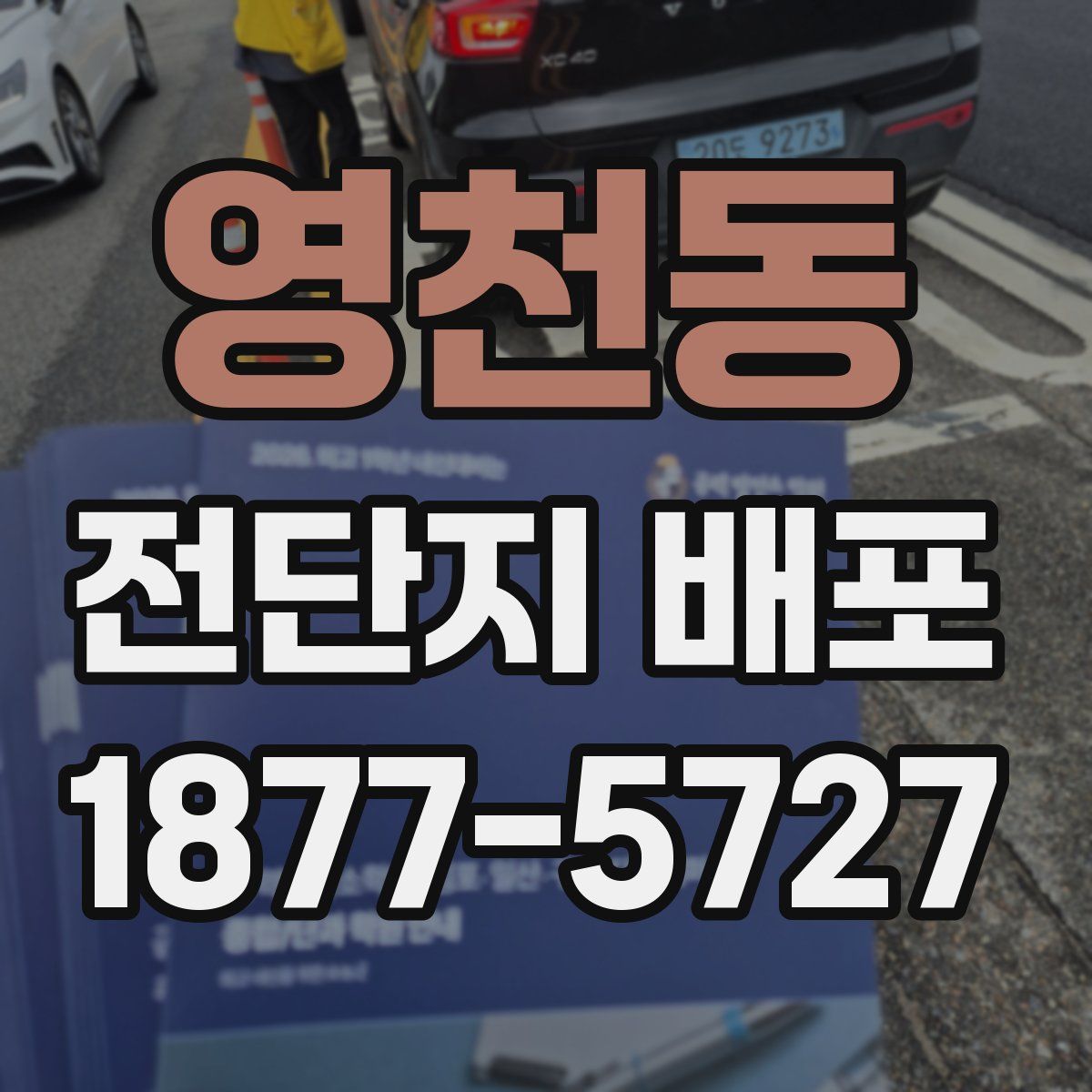 영천동 전단지 배포