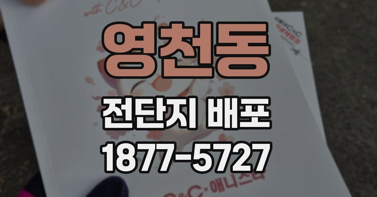 영천동 전단지 배포
