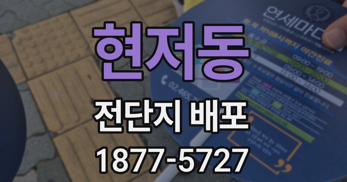 현저동 전단지 배포