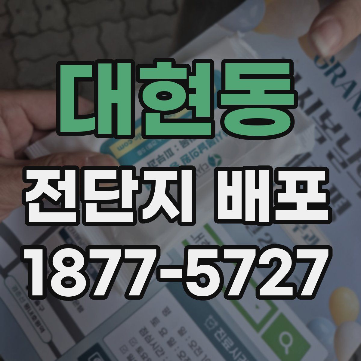 대현동 전단지 배포