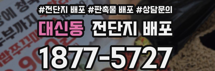 대신동 전단지 배포