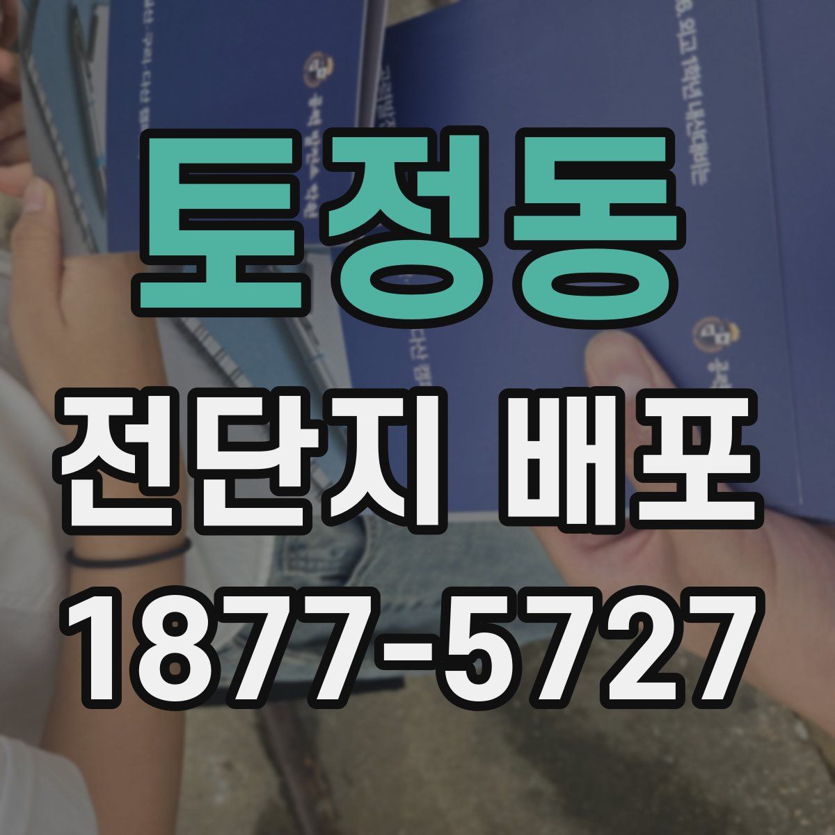 토정동 전단지 배포