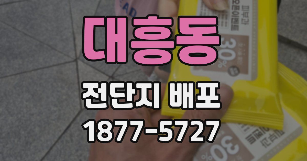 대흥동 전단지 배포