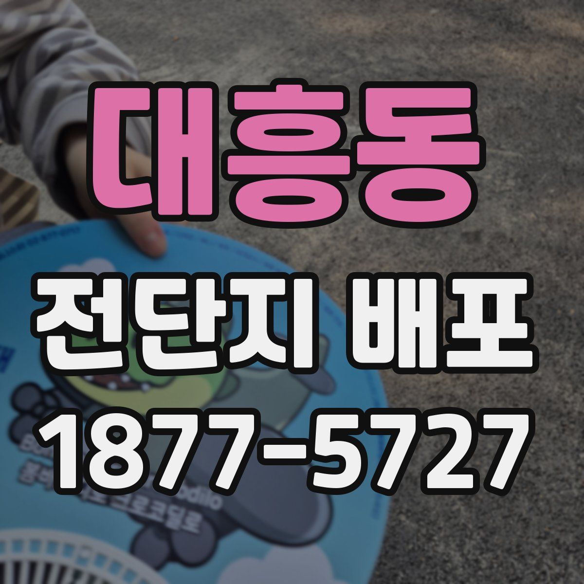 대흥동 전단지 배포