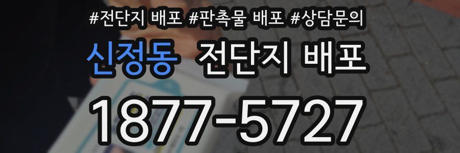 신정동 전단지 배포