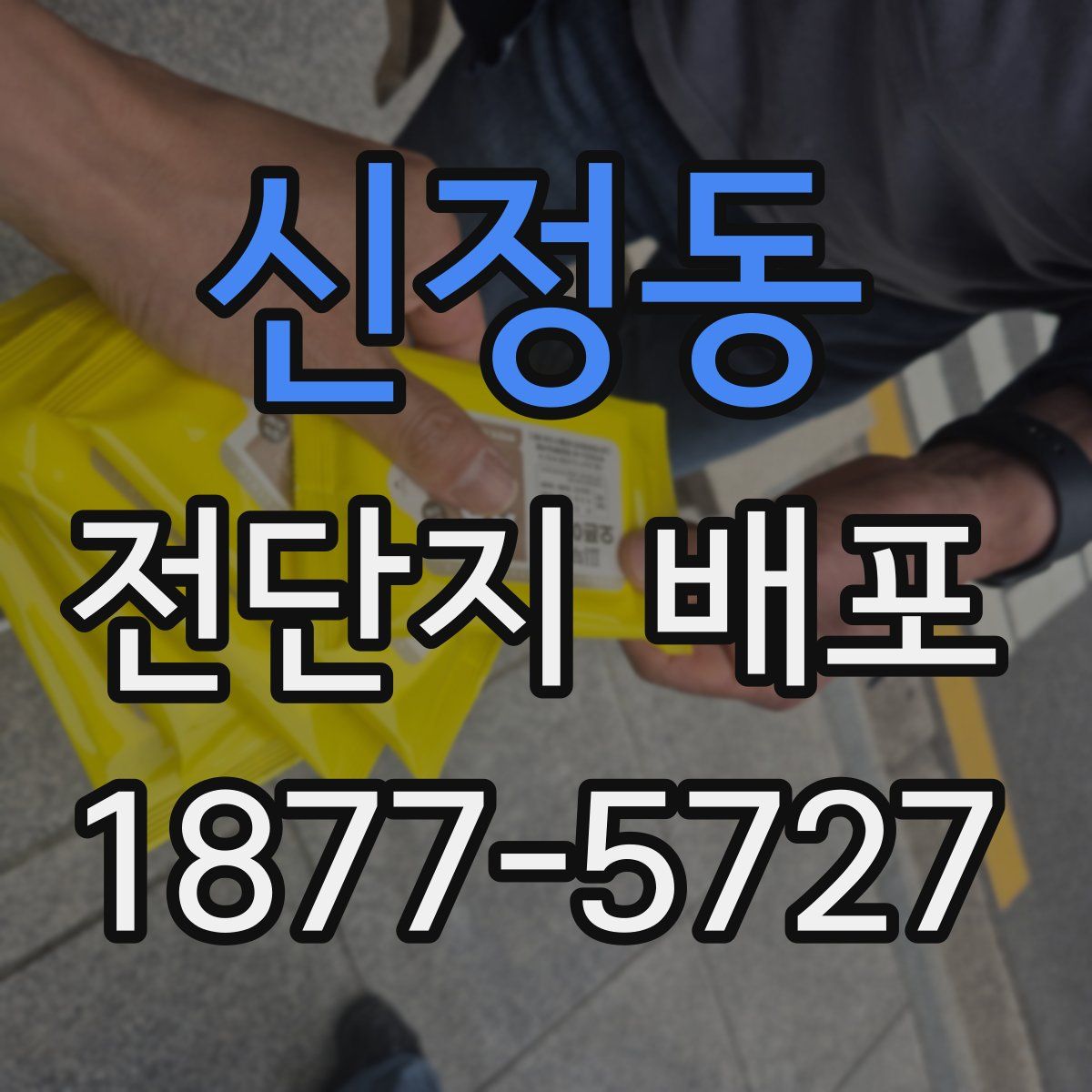 신정동 전단지 배포