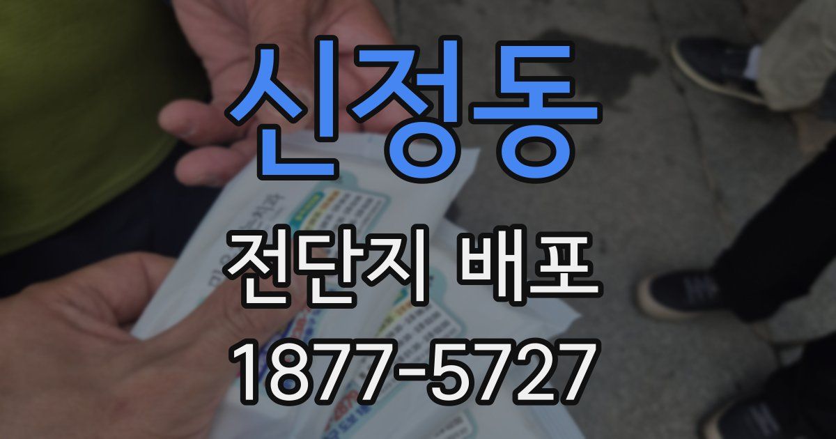 신정동 전단지 배포