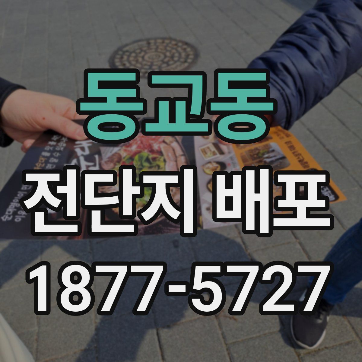 동교동 전단지 배포