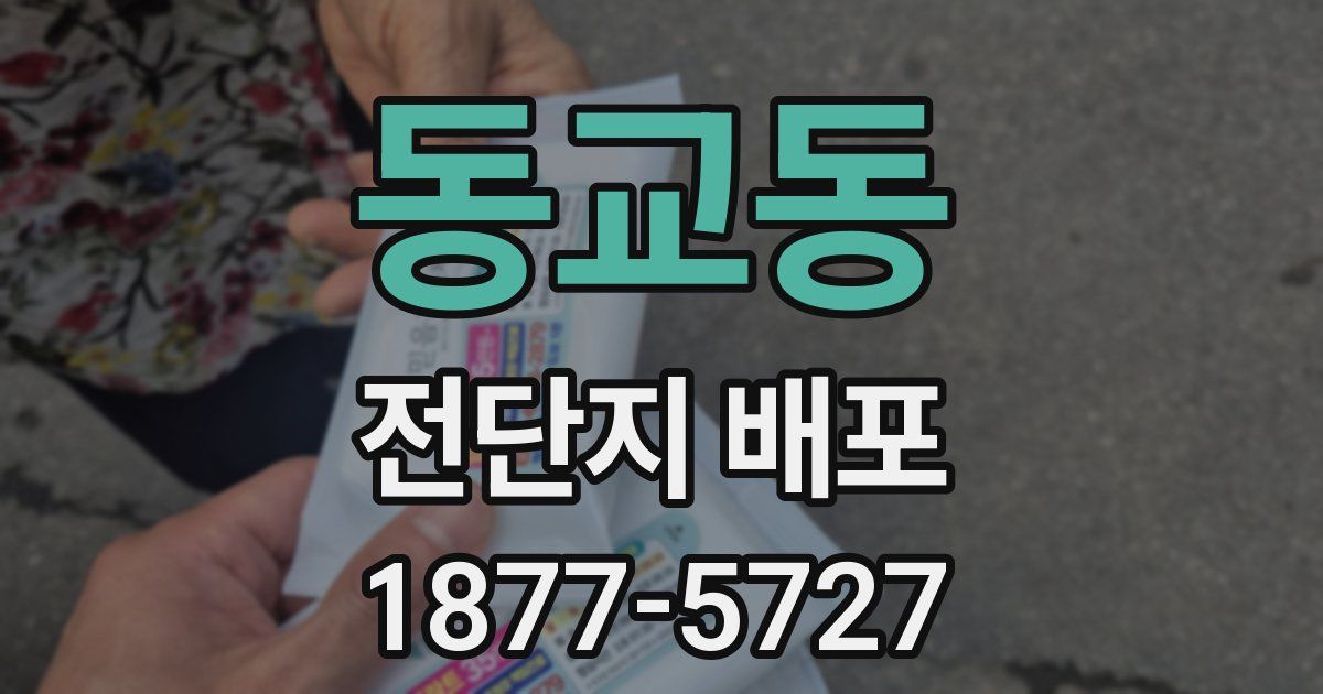 동교동 전단지 배포