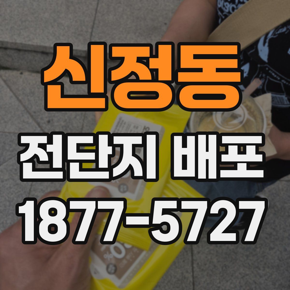 신정동 전단지 배포