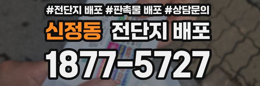신정동 전단지 배포
