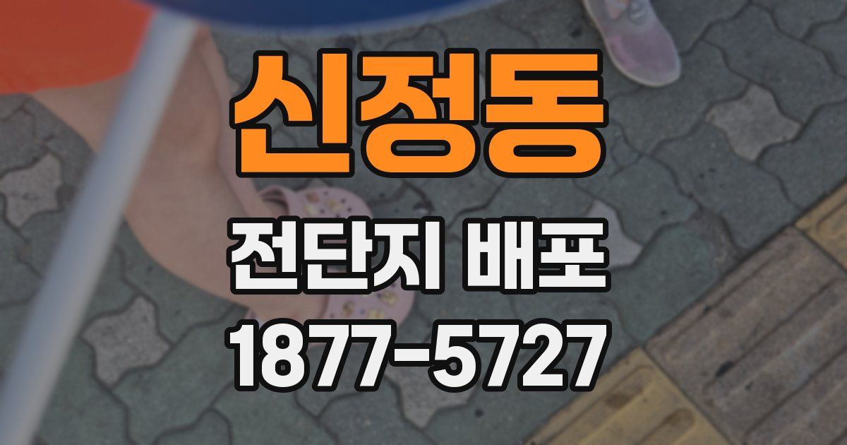 신정동 전단지 배포