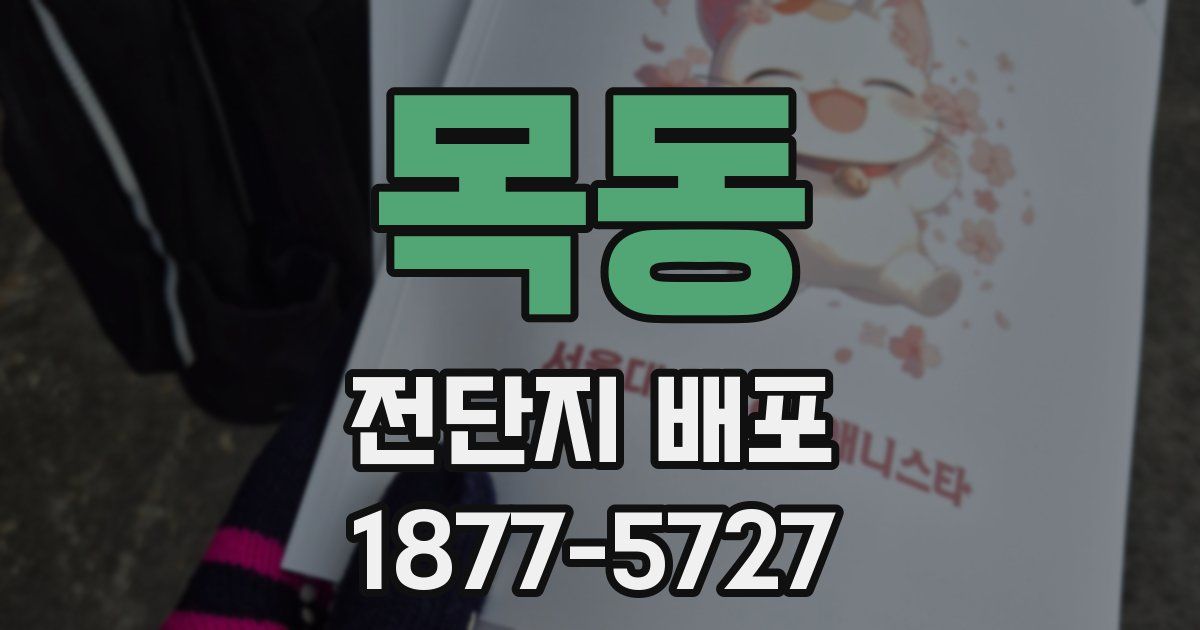 목동 전단지 배포