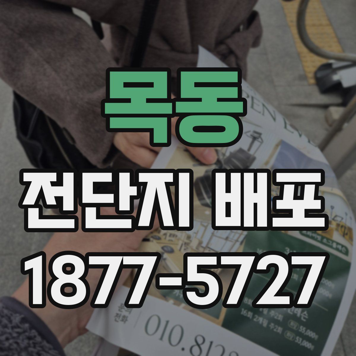 목동 전단지 배포