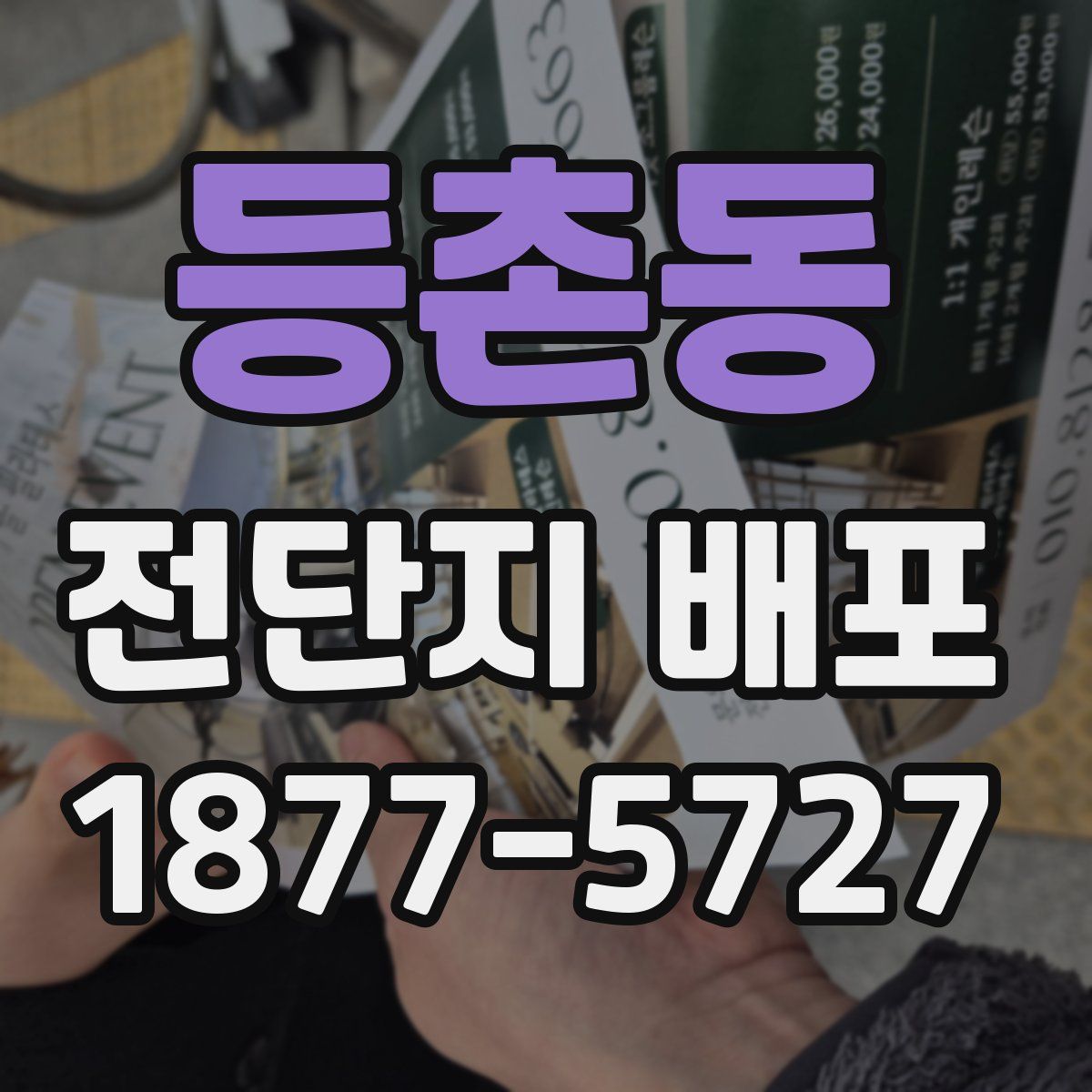 등촌동 전단지 배포