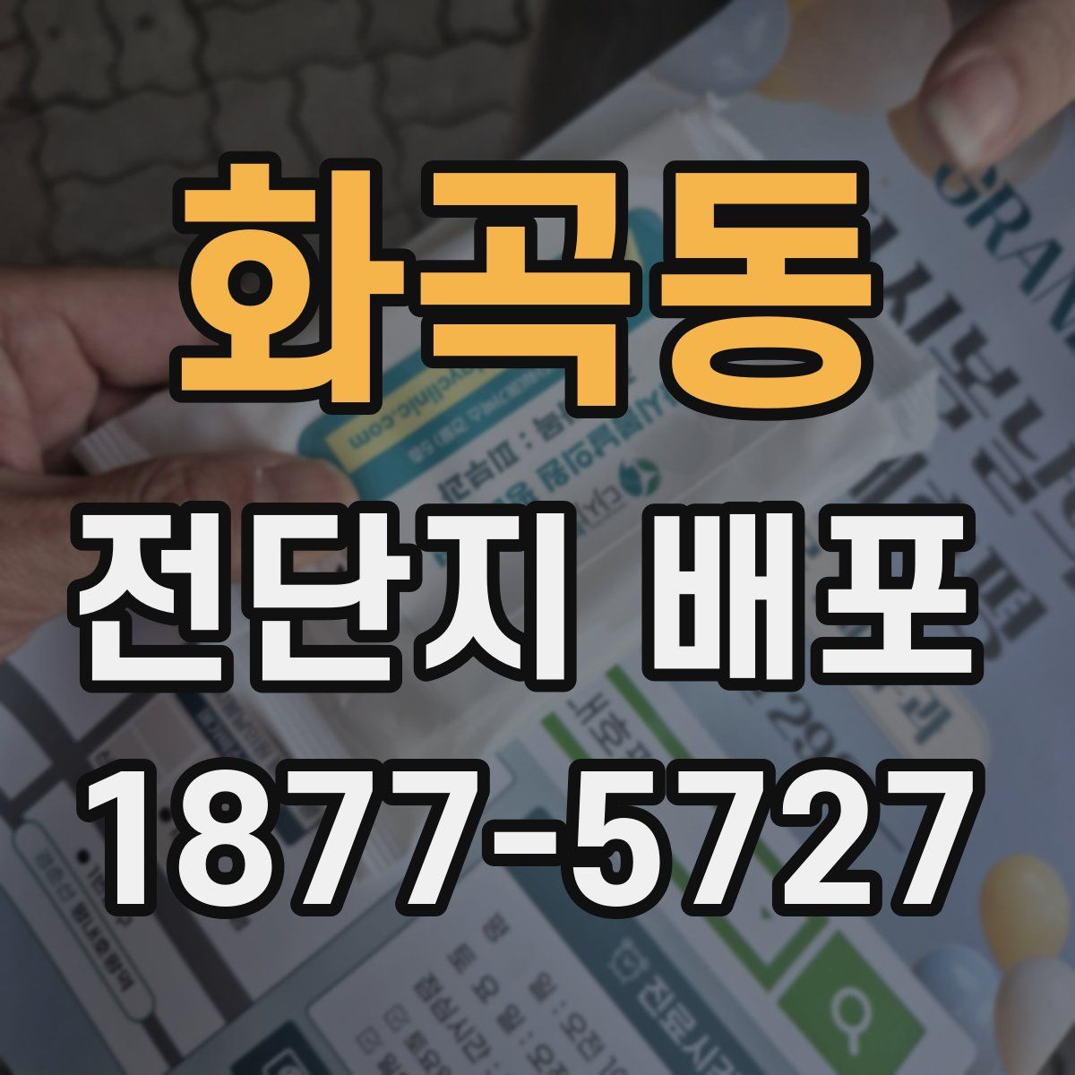 화곡동 전단지 배포