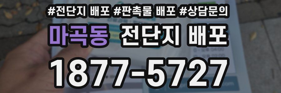 마곡동 전단지 배포